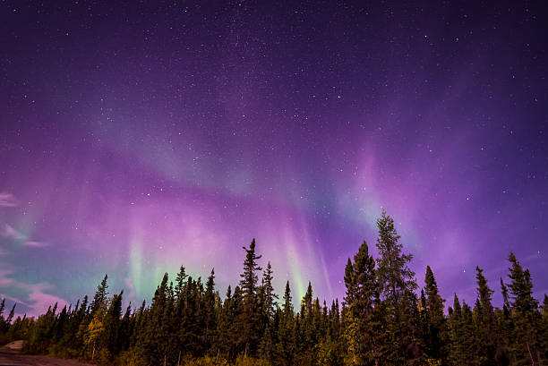 Northern Lights in Norway In Summer