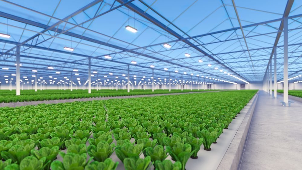 Greenhouses That Extend Your Growing Season and Protect Delicate Plants