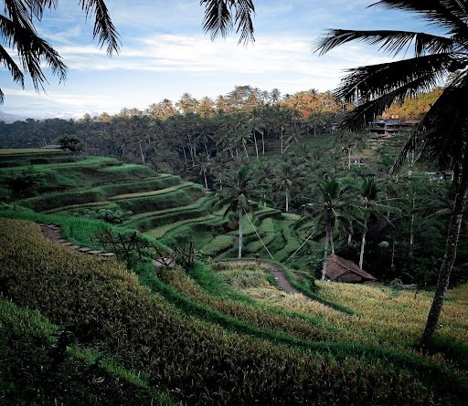 Planning a Bali trip from India