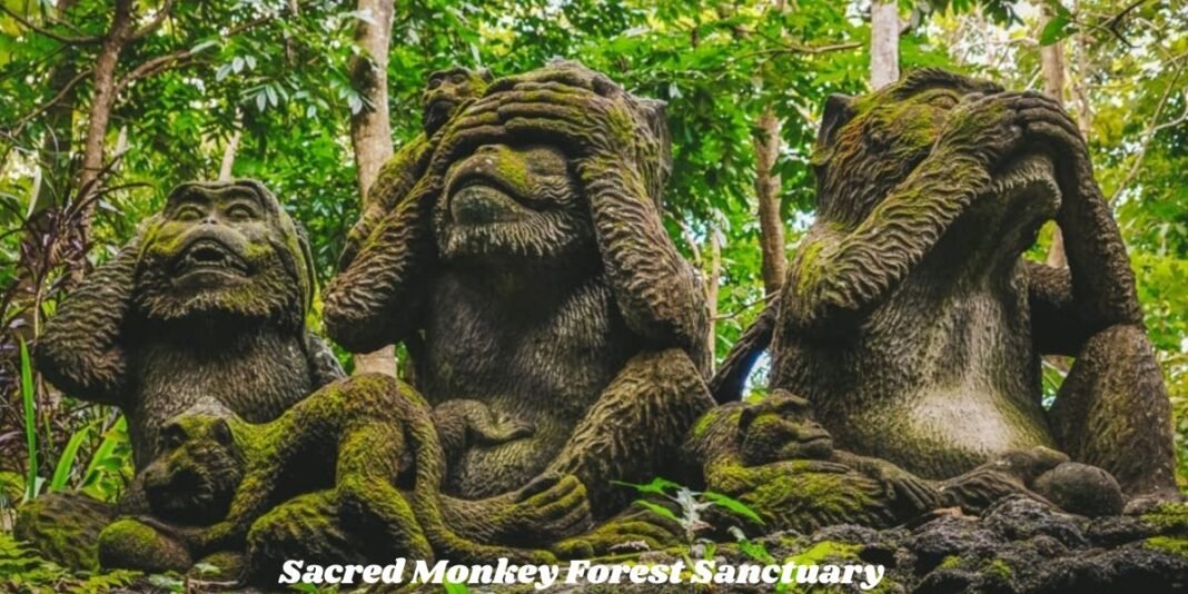 Sacred Monkey Forest Sanctuary