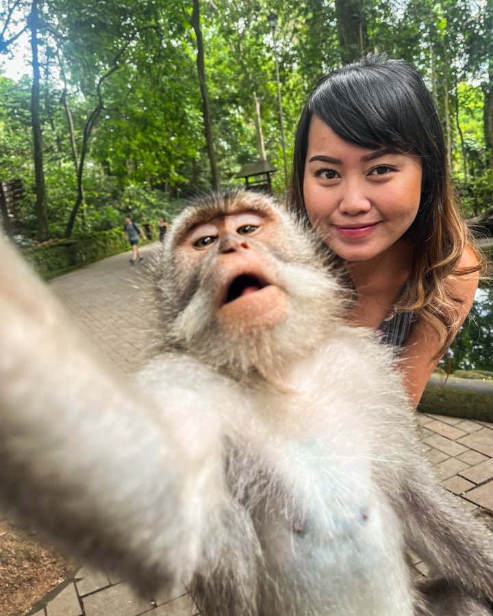 Sacred Monkey Forest Sanctuary