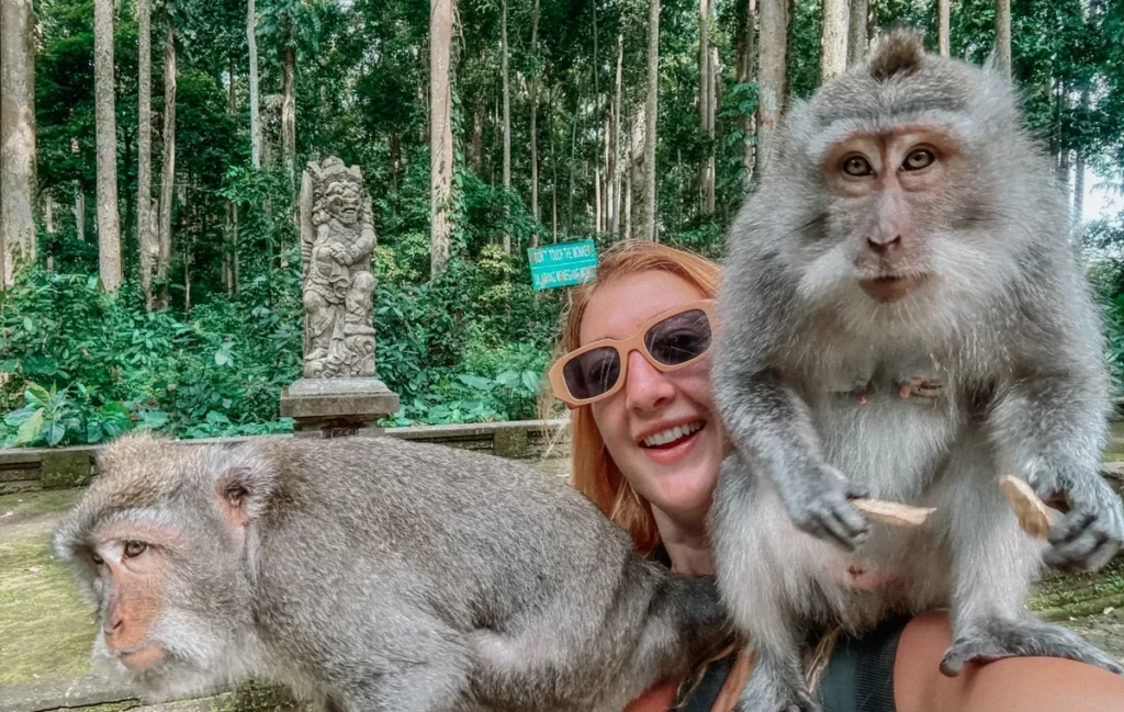 Sacred Monkey Forest Sanctuary