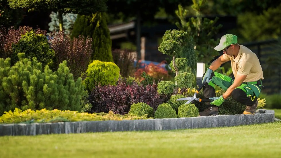 How Insurance Can Help Landscaping Businesses Grow and Diversify Services
