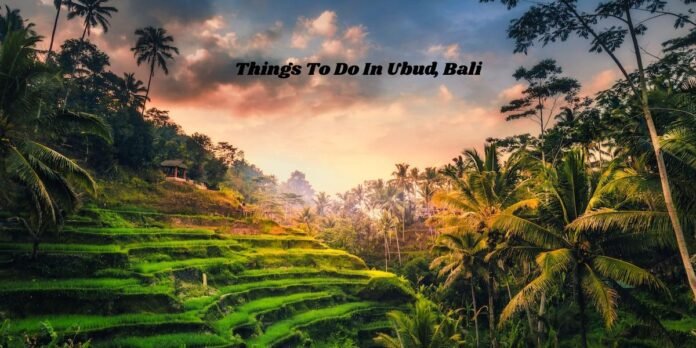 Things To Do In Ubud Things To Do In Ubud