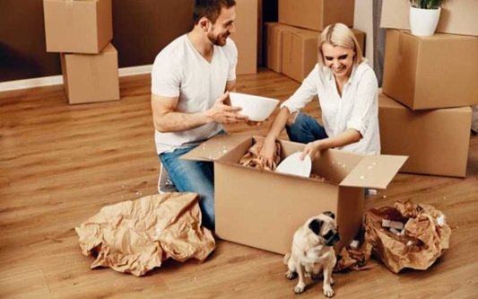 Apartment Amenities That Make Life Easier with a Pet