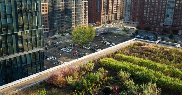 Baltimore Breaks New Ground on Maryland's Rapidly Growing Green Market Baltimore Breaks New Ground on Maryland's Rapidly Growing Green Market