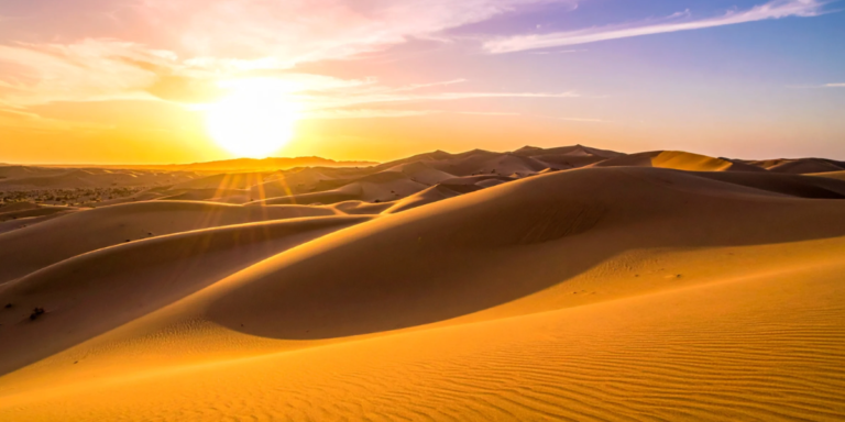 Tourist Driving Requirements in the UAE