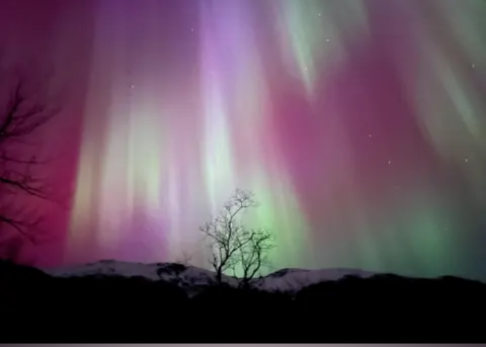 Guide How to Watch the Northern Lights Photography