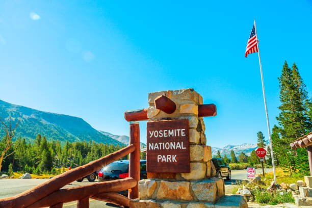 5 Must See Spots Inside Yosemite National Park on a Day Trip