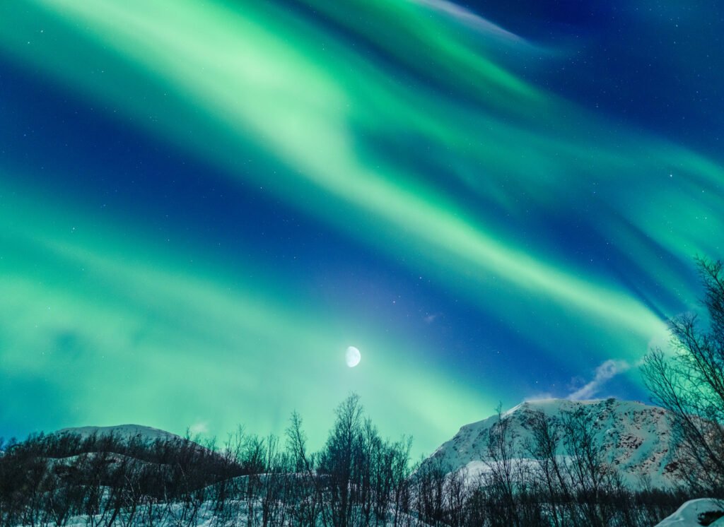 A beautiful view of a night-winter landscape with aurora borealis