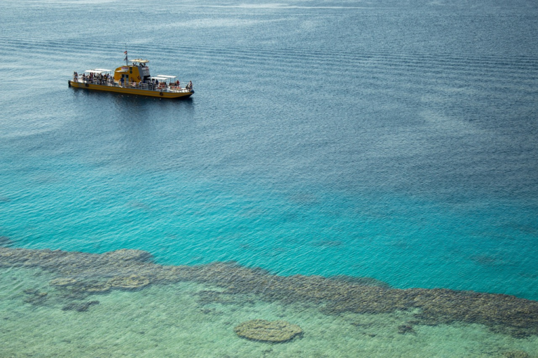 Booking Excursions At The Resort vs. Online Booking in Cancun – Which Is Better?