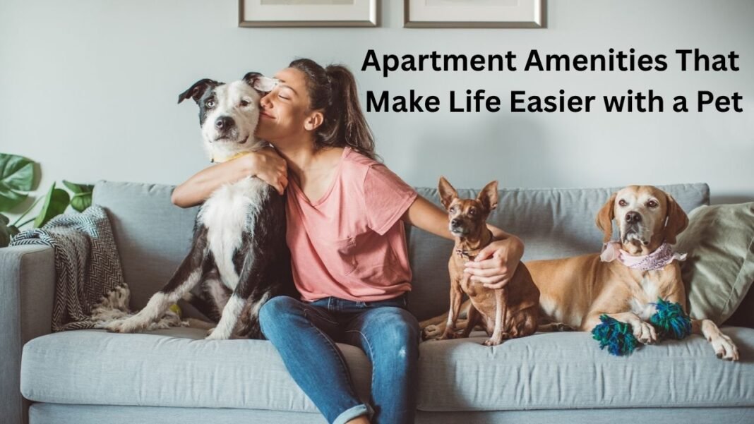 Apartment Amenities That Make Life Easier with a Pet Apartment Amenities That Make Life Easier with a Pet